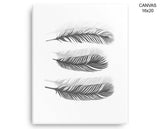 Black And White Print, Beautiful Wall Art with Frame and Canvas options available Feathers Decor