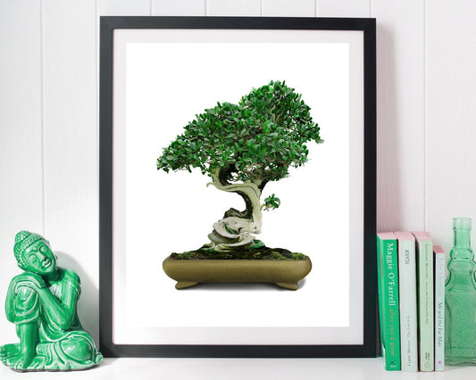 Wall Art Bonsai Digital Print Bonsai Poster Art Bonsai Wall Art Print Bonsai Home Art Bonsai Home Print Bonsai Wall Decor Bonsai - Digital Download