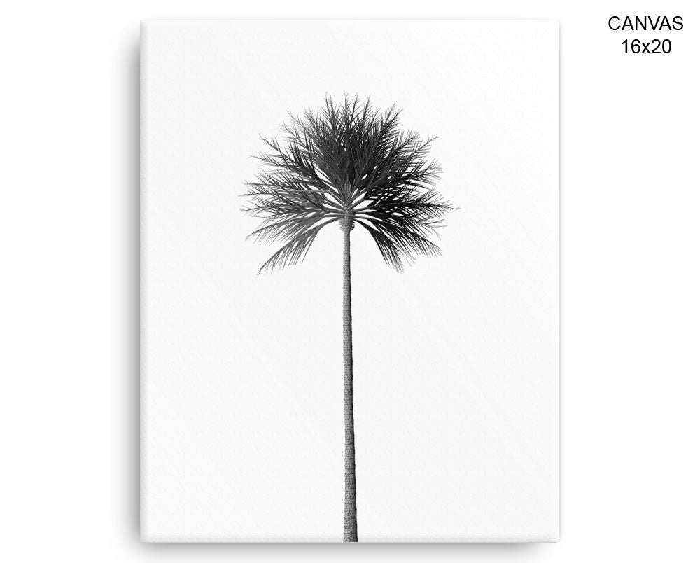 Palm Tree Print, Beautiful Wall Art with Frame and Canvas options available Photography Decor