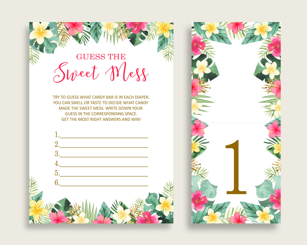 Hawaiian Guessing Game Baby Shower Girl, Pink Green Guess The Sweet Mess Game Printable, Dirty Diaper Game, Instant Download, 955MG