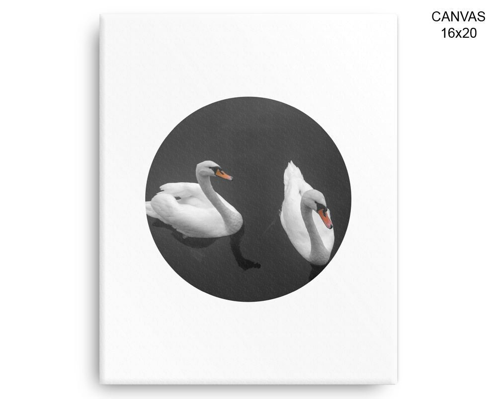 Swan Print, Beautiful Wall Art with Frame and Canvas options available Living Room Decor