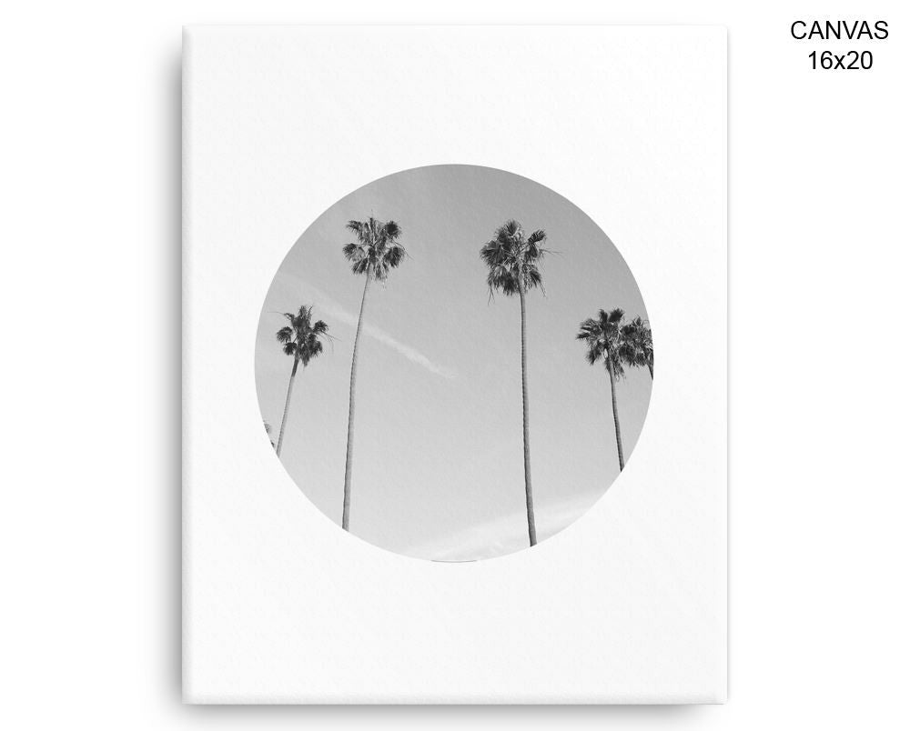 Palm Photography Print, Beautiful Wall Art with Frame and Canvas options available  Decor