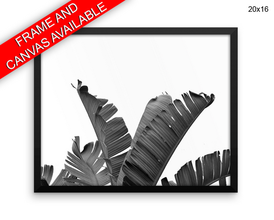 Banana Leaf Print, Beautiful Wall Art with Frame and Canvas options available Fruit Decor