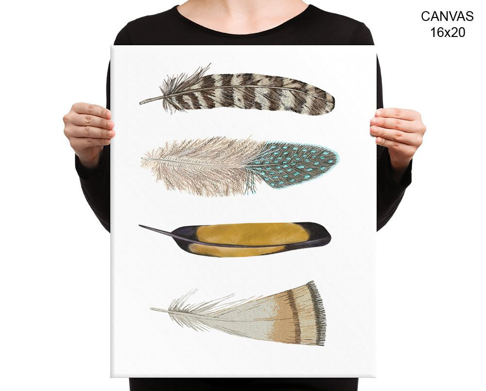 Feathers Print, Beautiful Wall Art with Frame and Canvas options available Home Decor