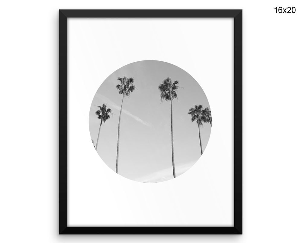 Palm Photography Print, Beautiful Wall Art with Frame and Canvas options available  Decor