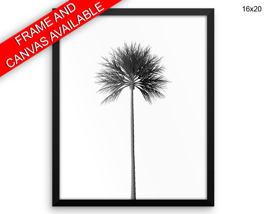 Palm Tree Print, Beautiful Wall Art with Frame and Canvas options available Photography Decor