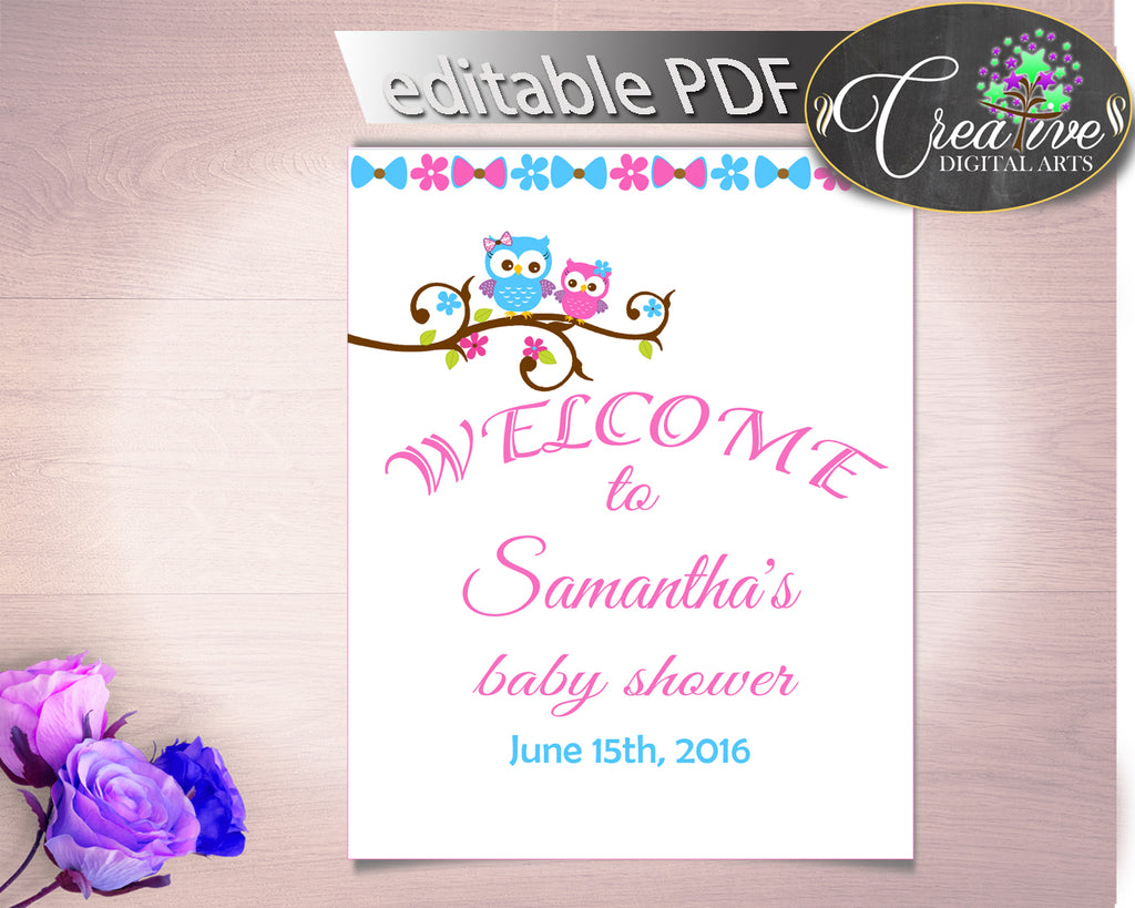 Welcome Sign Baby Shower Welcome Sign Owl Baby Shower Welcome Sign Baby Shower Owl Welcome Sign Pink Blue party organization prints owt01