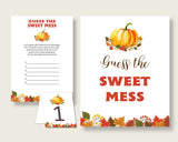 Sweet Mess Baby Shower Sweet Mess Fall Baby Shower Sweet Mess Baby Shower Pumpkin Sweet Mess Orange Brown party theme prints BPK3D - Digital Product