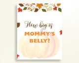 Mommy's Belly Baby Shower Mommy's Belly Autumn Baby Shower Mommy's Belly Baby Shower Pumpkin Mommy's Belly Orange Brown printables OALDE - Digital Product