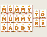 Chair Banner Baby Shower Chair Banner Fall Baby Shower Chair Banner Baby Shower Pumpkin Chair Banner Orange Brown party plan prints BPK3D - Digital Product