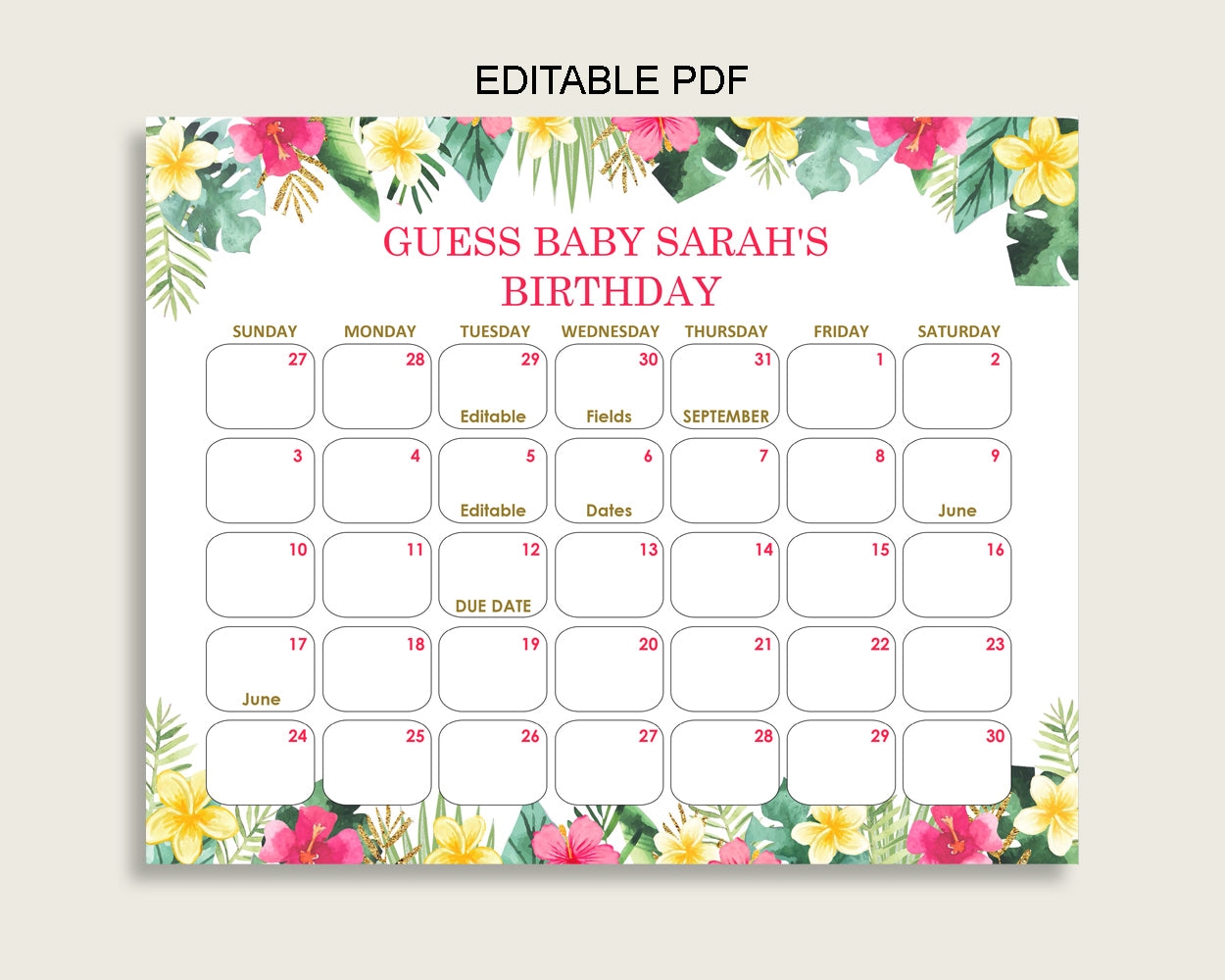 Pink Green Guess Baby Due Date Calendar Game Printable, Hawaiian Baby Shower Girl Birthday Prediction Calendar Editable, Instant 955MG