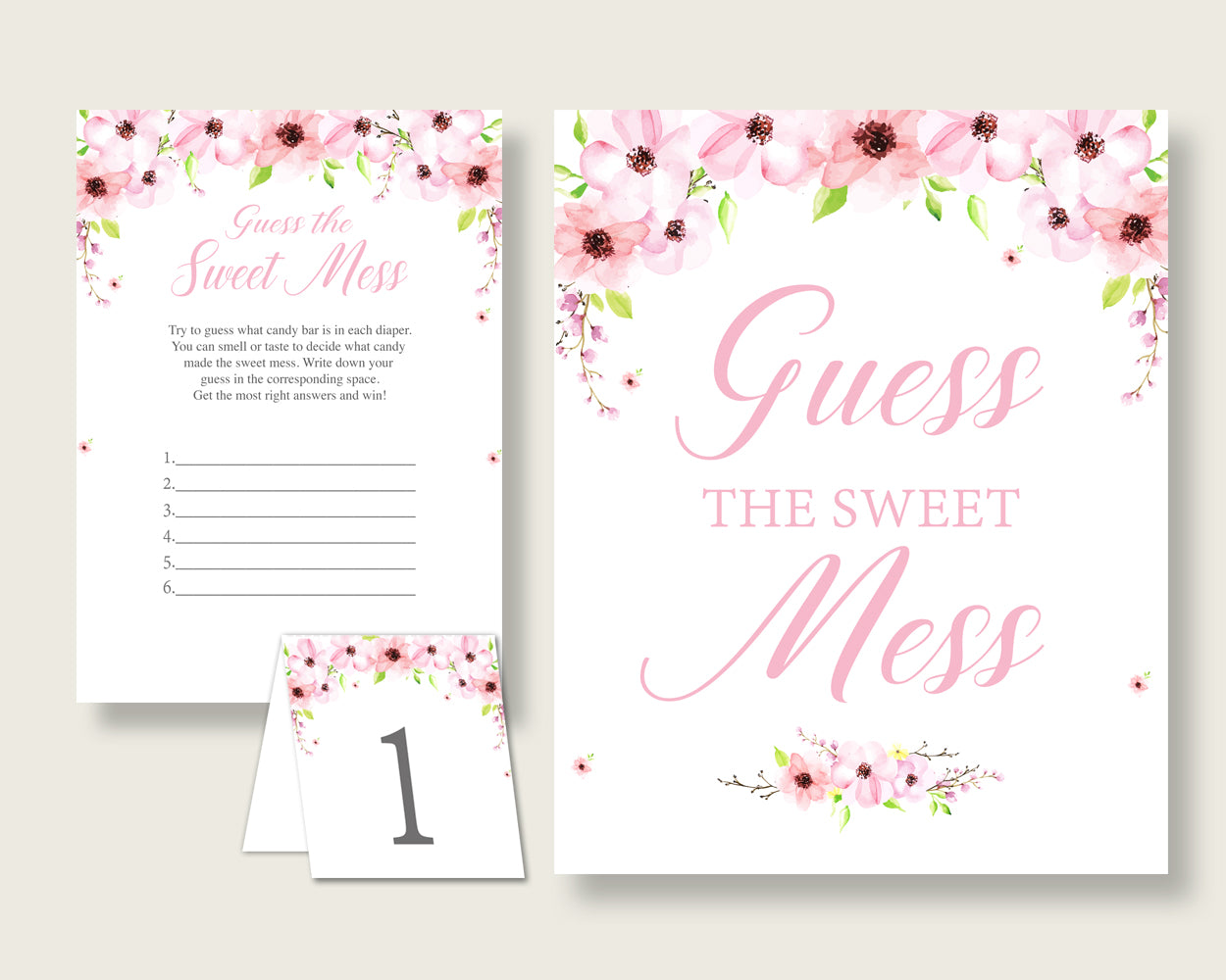 Flower Blush Guessing Game Baby Shower Girl, Pink Green Guess The Sweet Mess Game Printable, Dirty Diaper Game, Instant Download, VH1KL