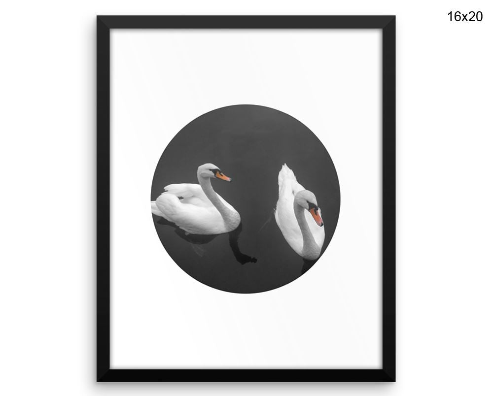 Swan Print, Beautiful Wall Art with Frame and Canvas options available Living Room Decor