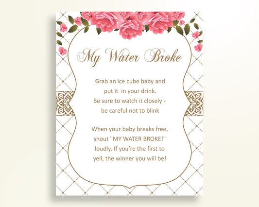 My Water Broke Baby Shower My Water Broke Roses Baby Shower My Water Broke Baby Shower Roses My Water Broke Pink White party decor U3FPX - Digital Product