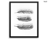 Black And White Print, Beautiful Wall Art with Frame and Canvas options available Feathers Decor