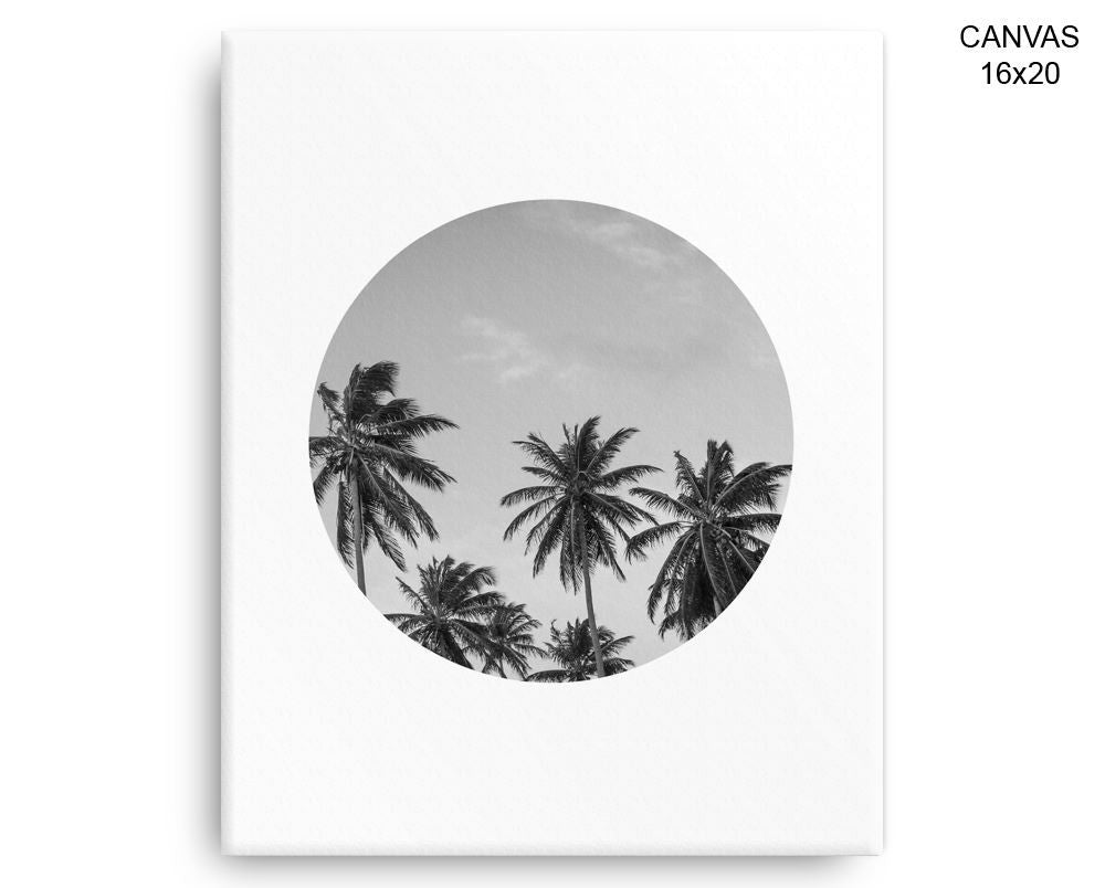 Palm Tree Print, Beautiful Wall Art with Frame and Canvas options available Photography Decor