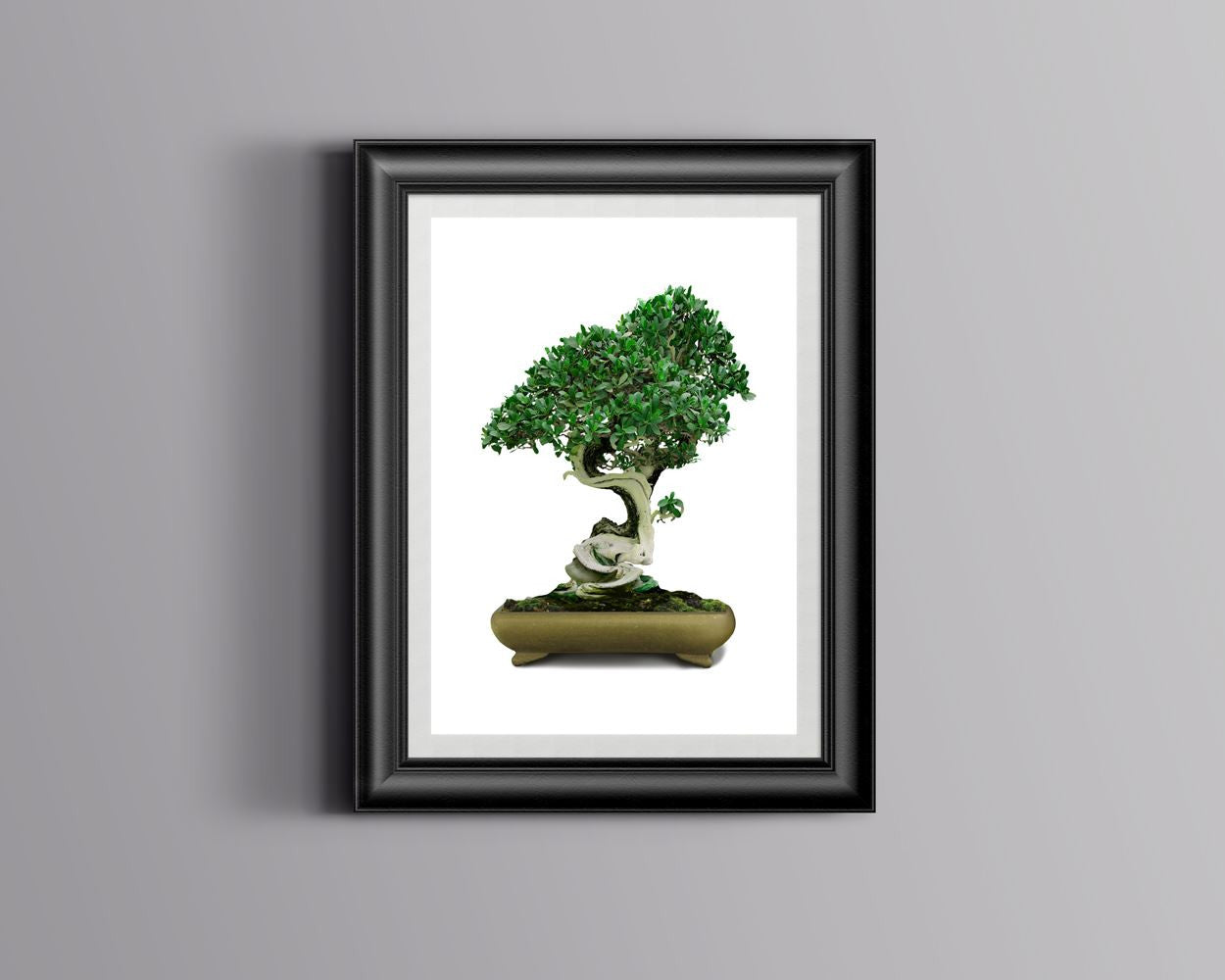 Wall Art Bonsai Digital Print Bonsai Poster Art Bonsai Wall Art Print Bonsai Home Art Bonsai Home Print Bonsai Wall Decor Bonsai - Digital Download