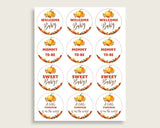 Cupcake Toppers And Wrappers Baby Shower Cupcake Toppers And Wrappers Fall Baby Shower Cupcake Toppers And Wrappers Baby Shower BPK3D - Digital Product