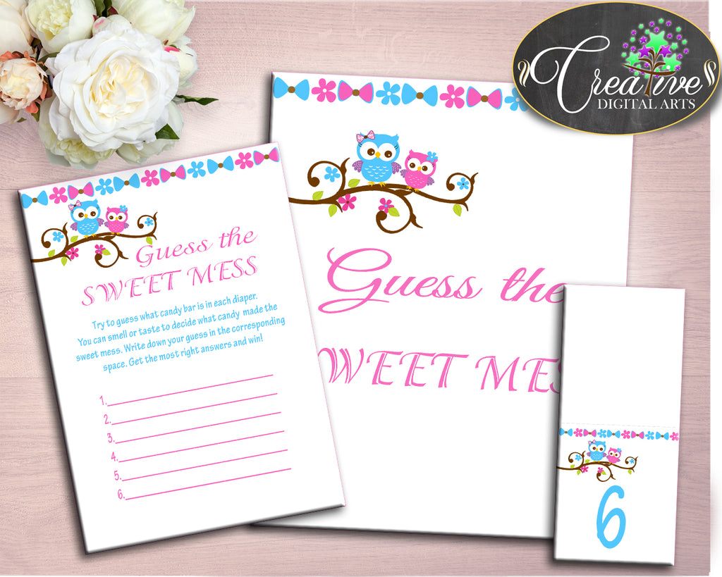 Sweet Mess Baby Shower Sweet Mess Owl Baby Shower Sweet Mess Baby Shower Owl Sweet Mess Pink Blue printable files instant download owt01