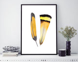 Feathers Prints Wall Art Feathers Digital Download Feathers Bedroom Art Feathers Bedroom Print Feathers Instant Download Feathers Frame And - Digital Download