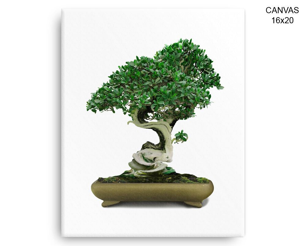 Bonsai Print, Beautiful Wall Art with Frame and Canvas options available Home Decor
