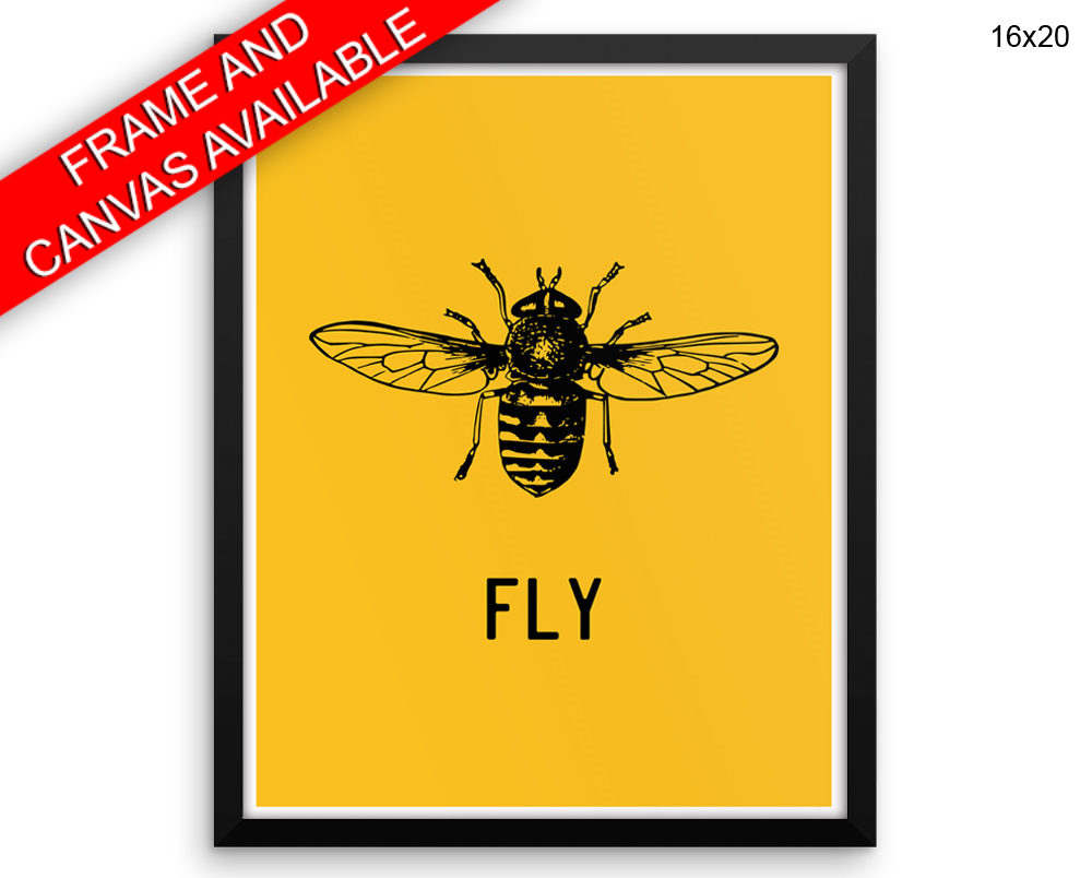 Fly Print, Beautiful Wall Art with Frame and Canvas options available Home Decor