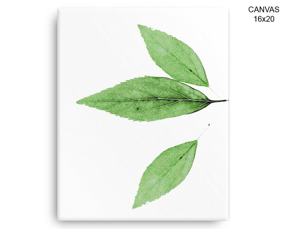 Leaf Print, Beautiful Wall Art with Frame and Canvas options available Nature Decor