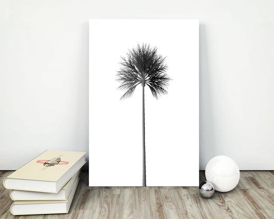 Wall Art Palm Tree Print Digital Print Palm Tree Print Poster Art Palm Tree Print Wall Art Print Palm Tree Print growth_palm Art Palm Tree - Digital Download