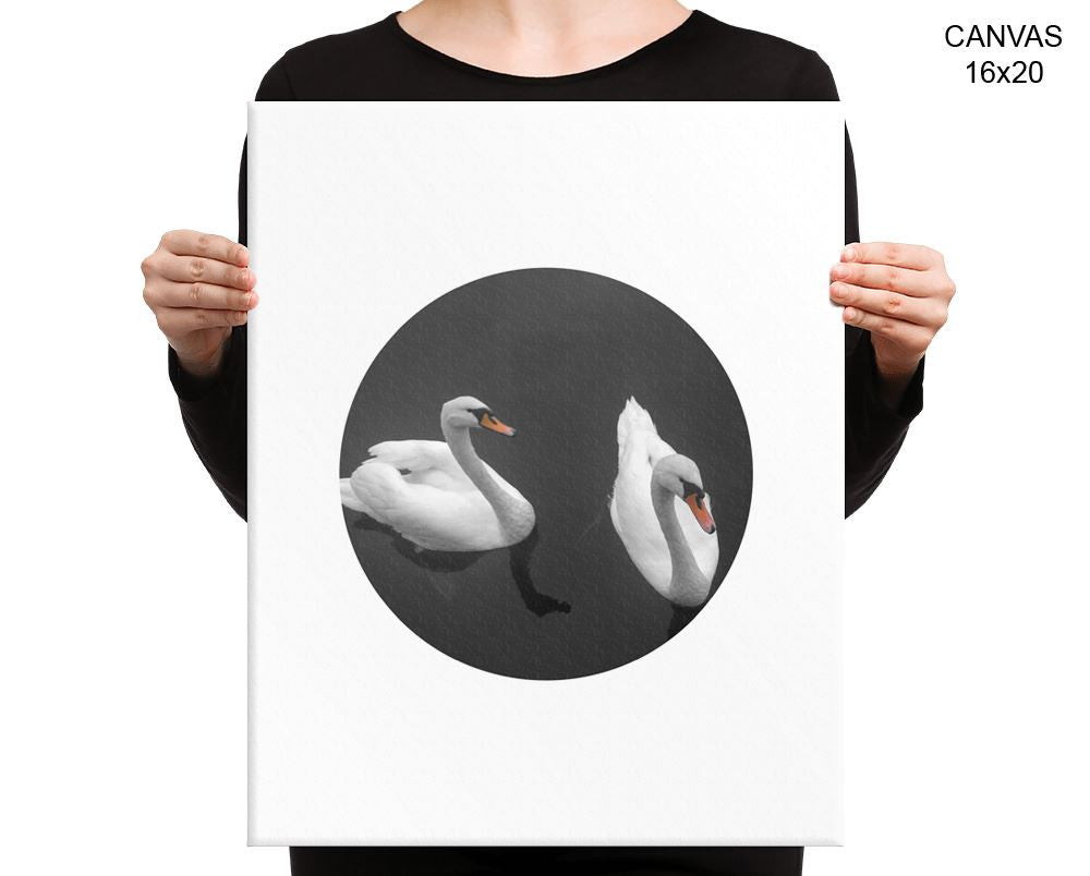 Swan Print, Beautiful Wall Art with Frame and Canvas options available Living Room Decor